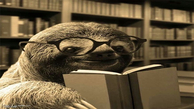Photo of a Sloth Reading a Book